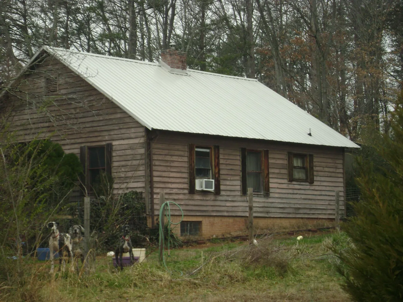 White metal roof on an old wood sided farmhouse, from a Asphalt Shingle Roof Repair job in Hope